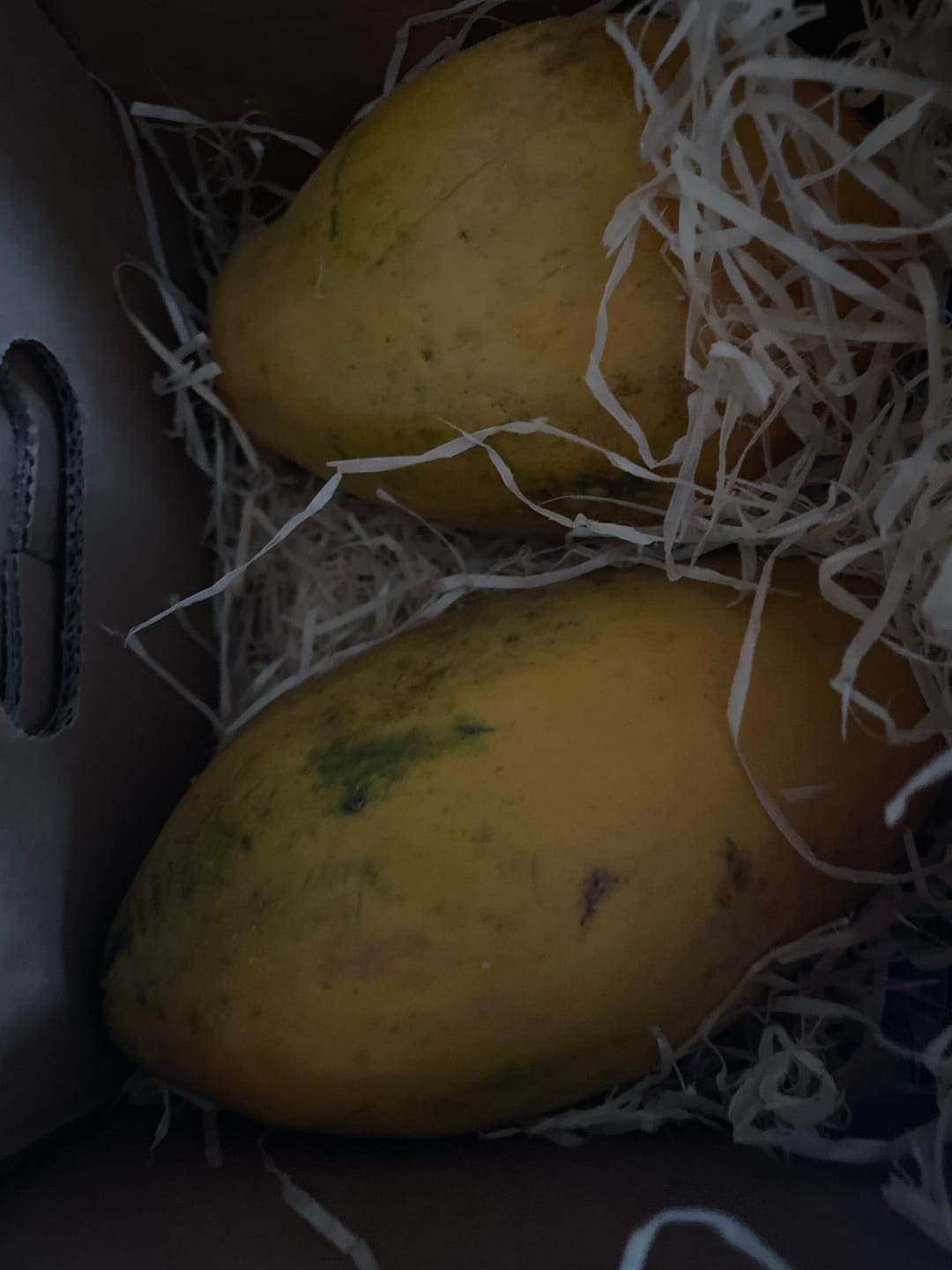 Customer photo review of Papaya Baby "Golden" (Stk. ca. 500g)