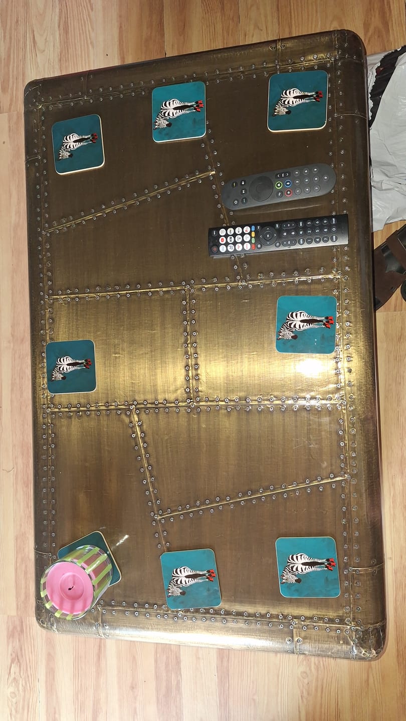 Customer photo review of Turquoise Zebra Wearing Heels Coaster Set