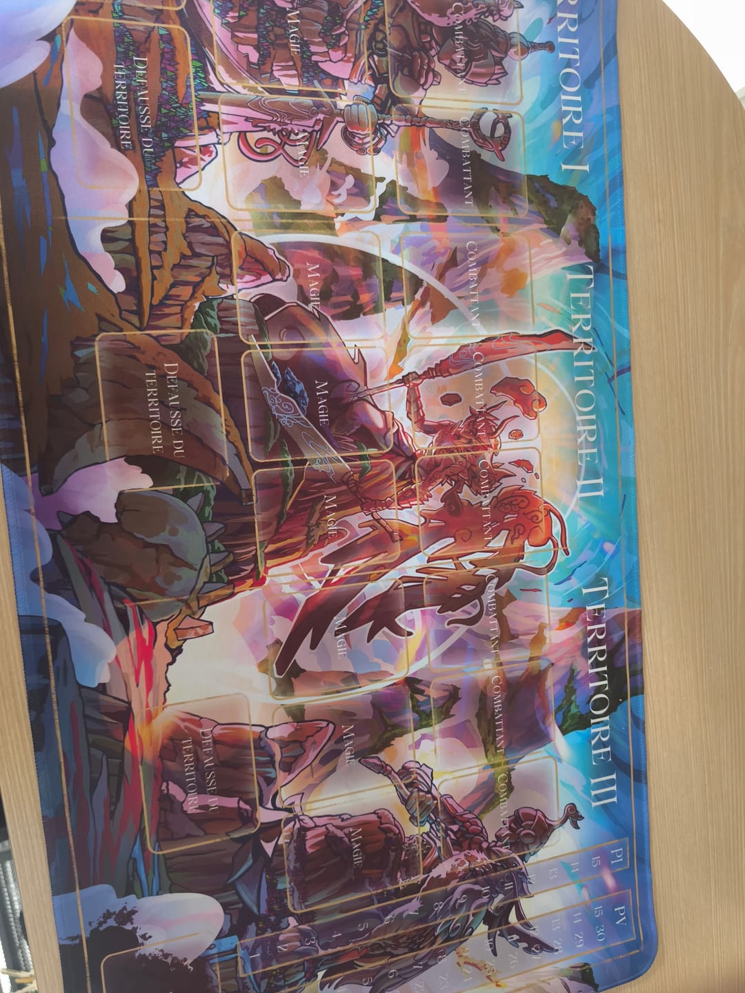 Customer photo review of Tapis de jeu Kin unifié