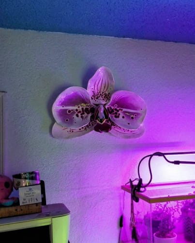 Customer photo review of Orchid Bloom Sculpture