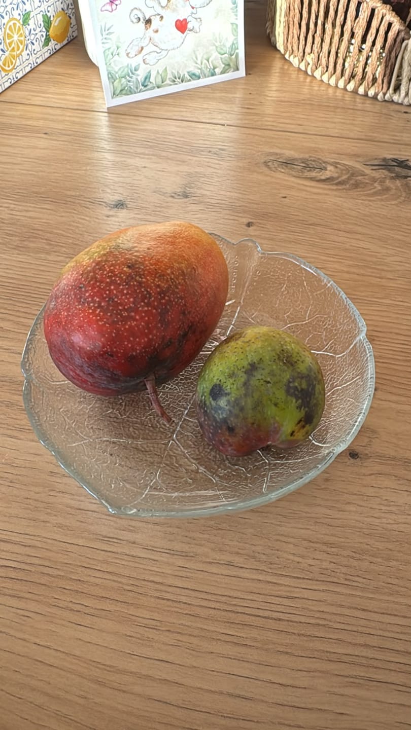Customer photo review of Baby-Mango Mix 500g