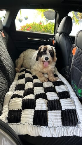 Customer photo review of Pawlow Single Hard Bottom Seat Cover