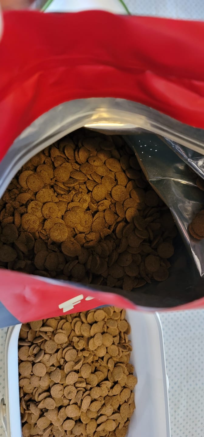 Customer photo review of Plato para Perros PetFamily
