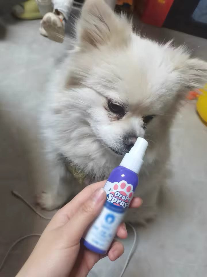 Customer photo review of Elimina el mal aliento de tu mascota en segundos 🐾