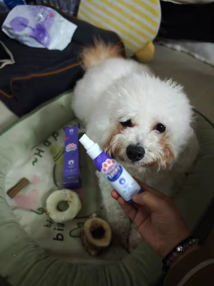 Customer photo review of Elimina el mal aliento de tu mascota en segundos 🐾
