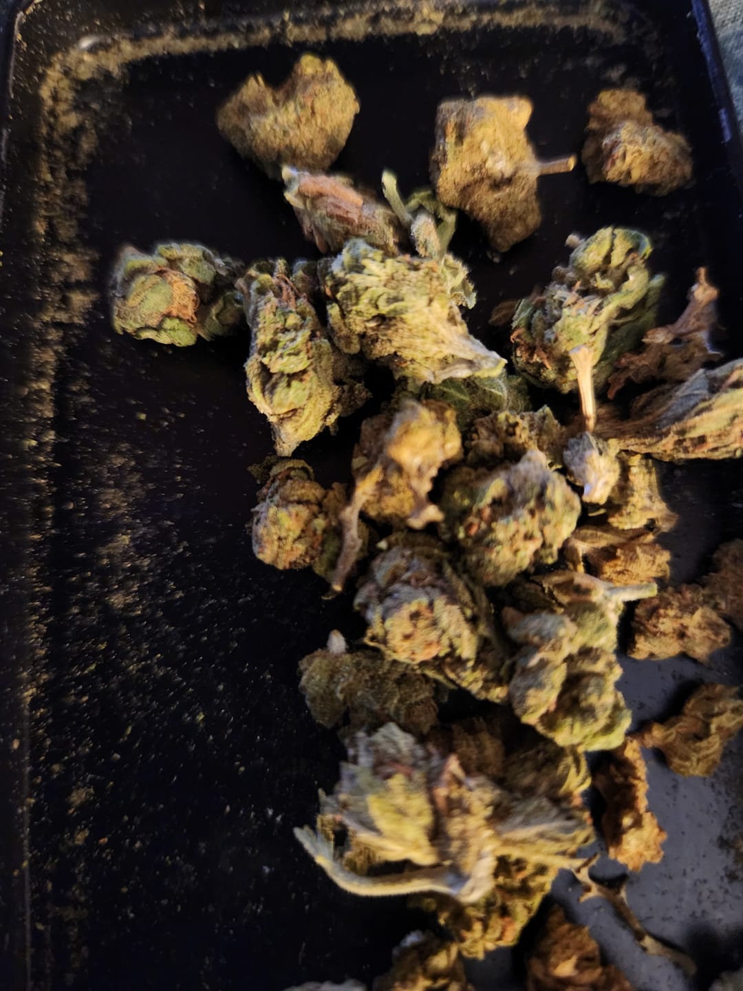 Customer photo review of Bubba OG MICROS - 28 Grams - Indica