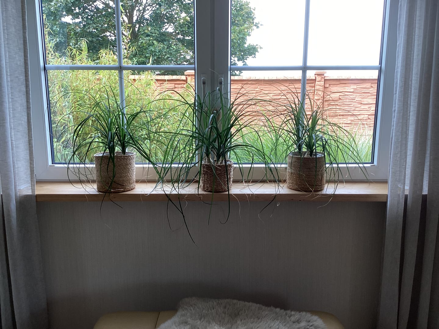 Customer photo review of Aufsatzfensterbank Eiche