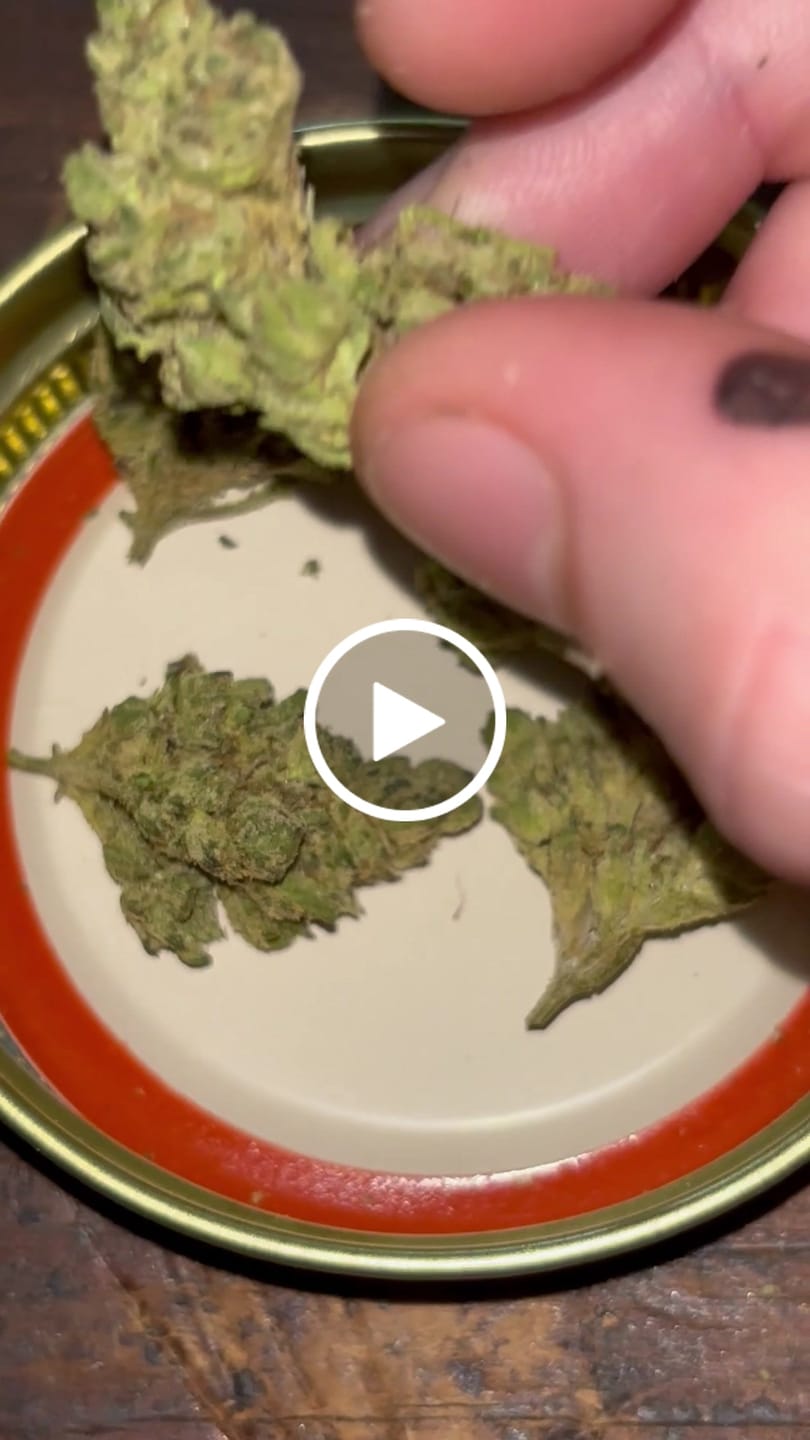 Customer video review of Light Assist THCA Smalls