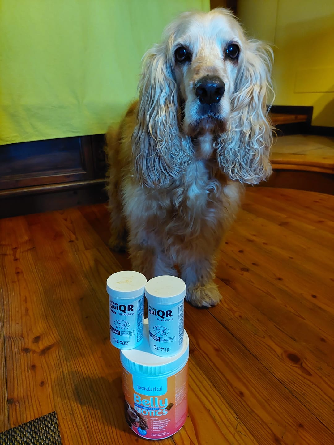 Customer photo review of Belly Biotics (jar) €24,90