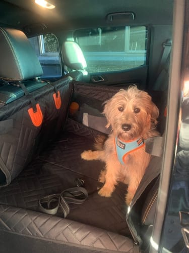 Customer photo review of Pawlow Single Hard Bottom Seat Cover