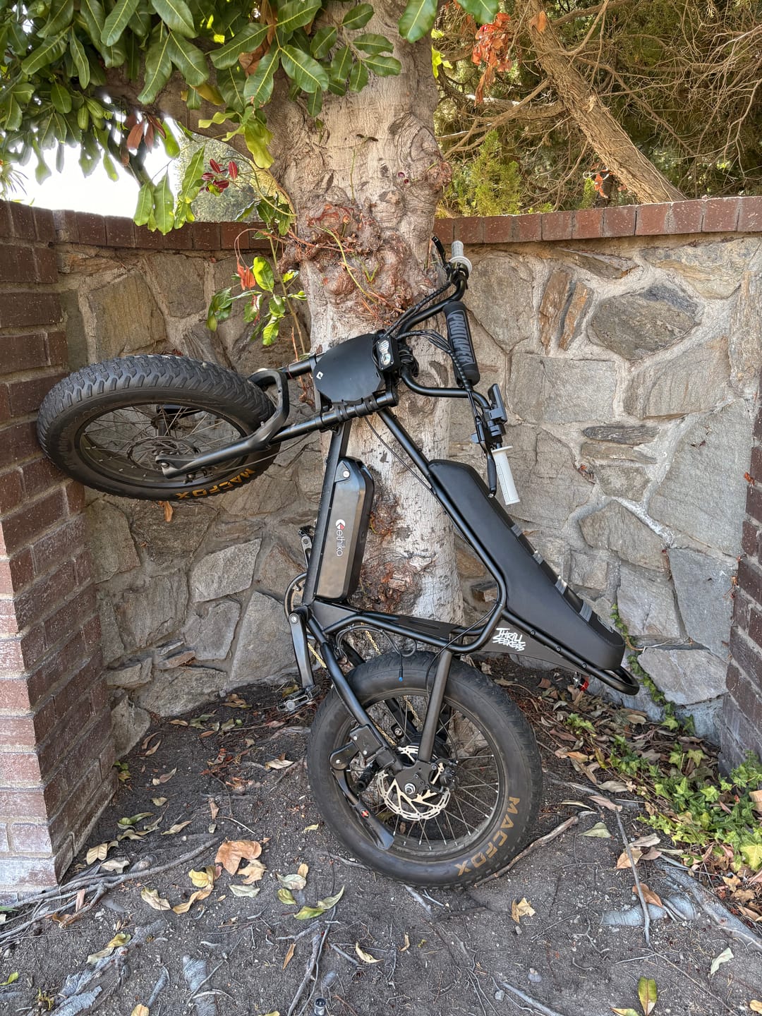 Customer photo review of Macfox X1S Commuter E-bike