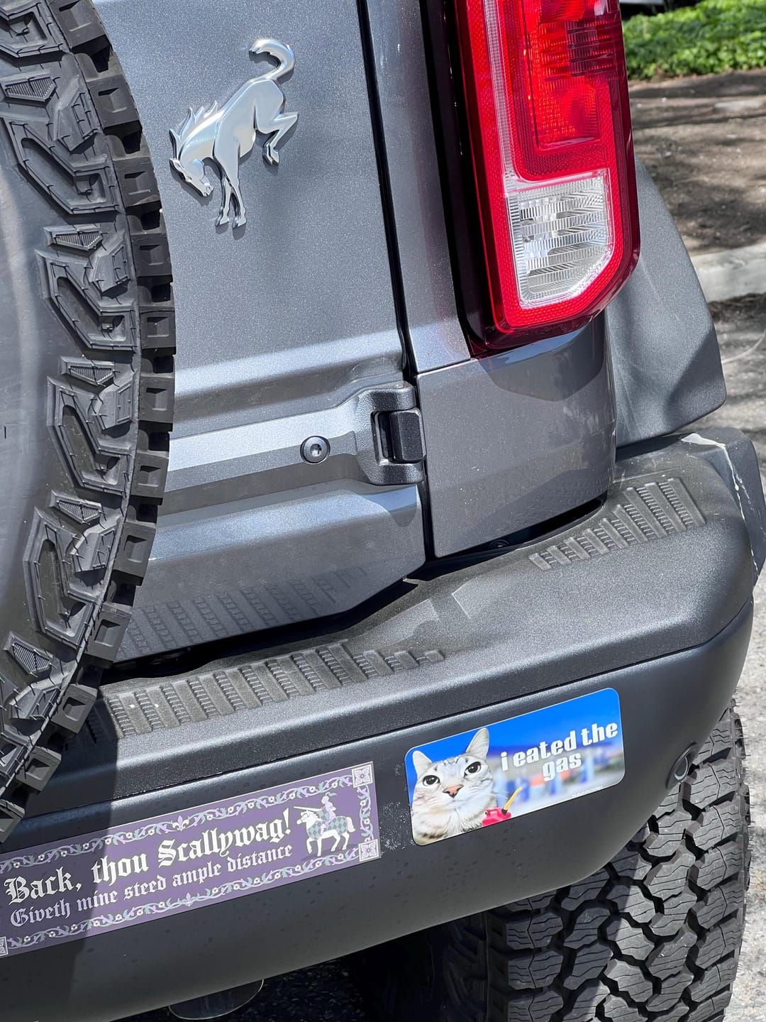 Customer photo review of i eated the gas / customizable text