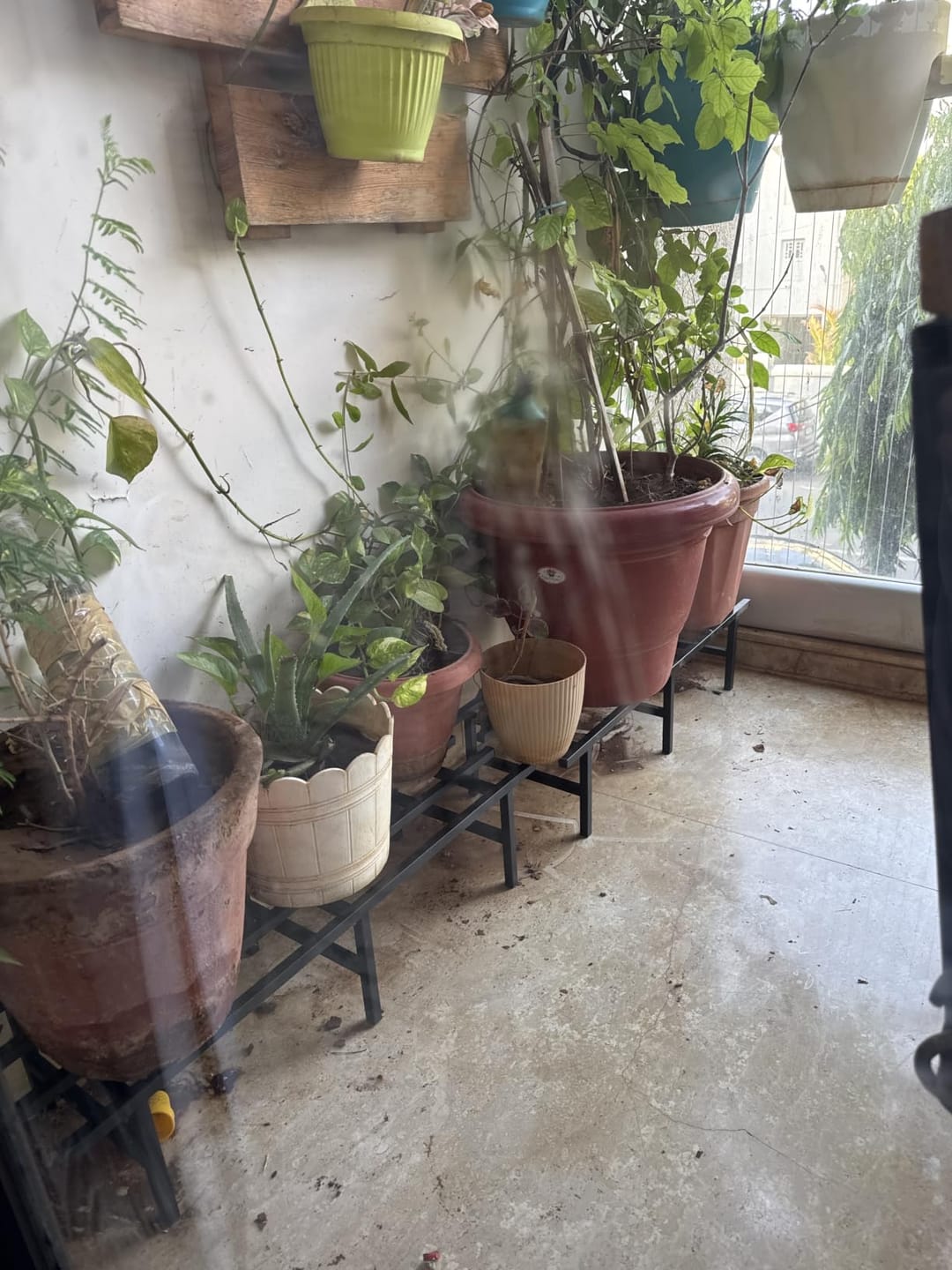 Customer photo review of Horizontal Metal Pot Stand (Set of 2 ) 76x24x18 Cm | Rust-Proof Matte Powder-Coated Pot Stand for Big Size Plants | Supports Up to 200 Kg| Ideal for Balcony, Outdoor and Indoor Plant Display