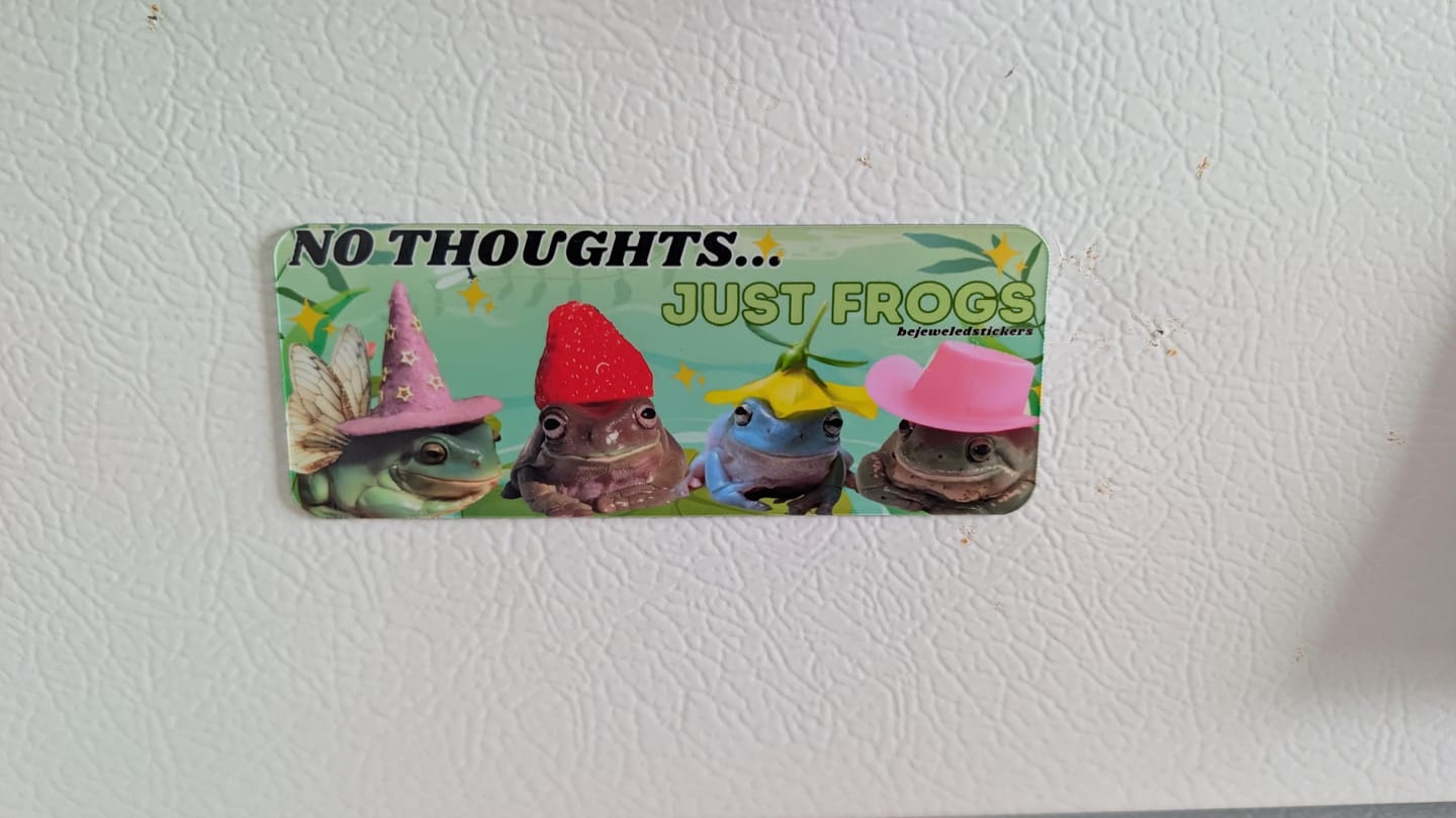 Customer photo review of No Thoughts, Just Frogs