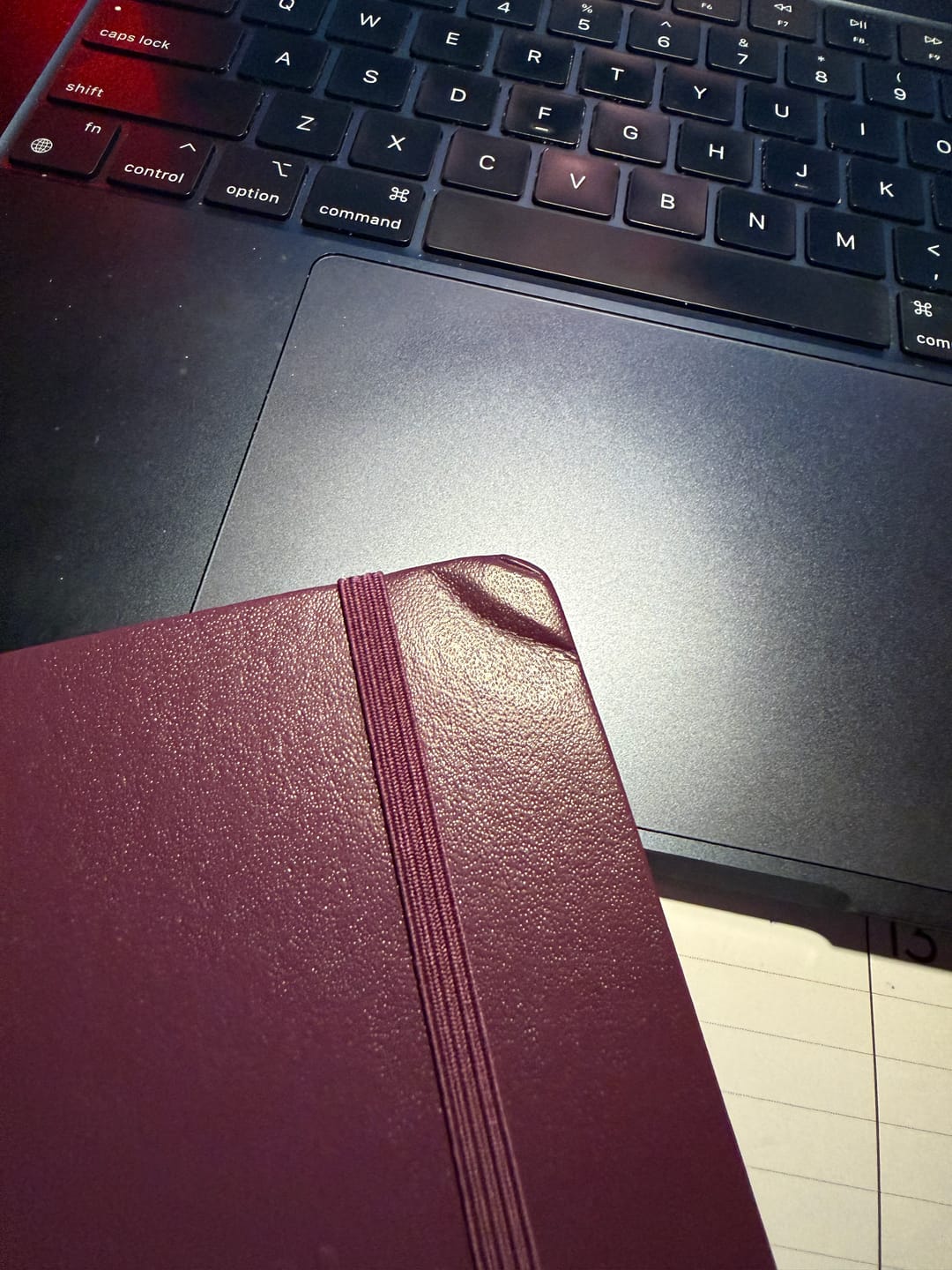 Customer photo review of The Notebook