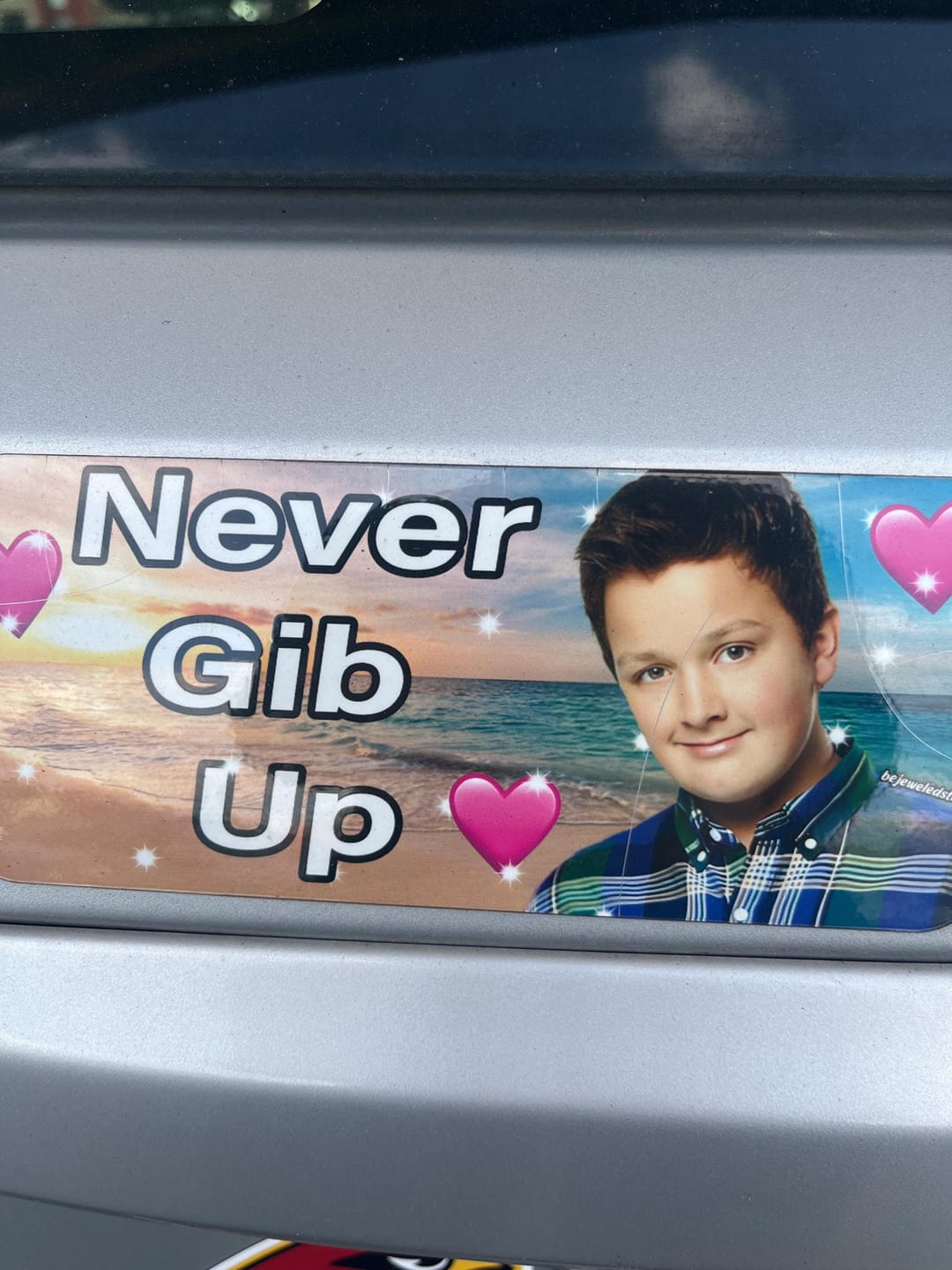 Customer photo review of Never Gib Up