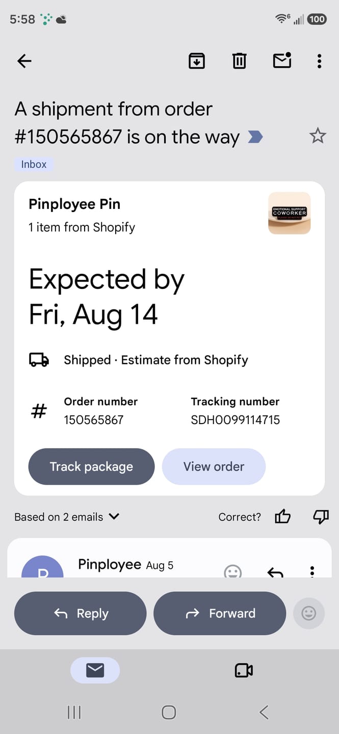 Customer photo review of Pinployee Pin