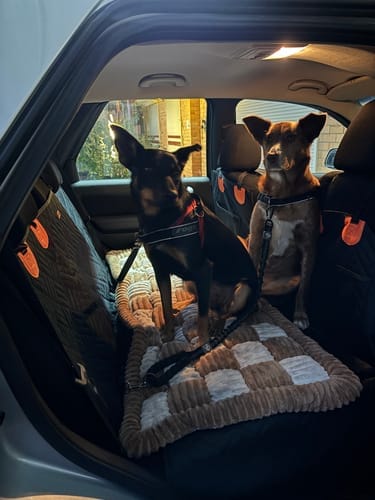 Customer photo review of Pawlow Single Hard Bottom Seat Cover