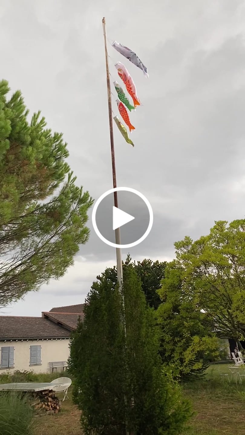 Customer video review of Koinobori Japonaise Traditionnelle Noire - 150 cm