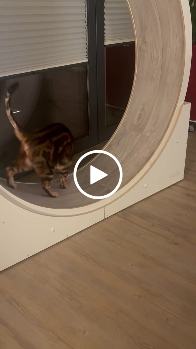 Customer video review of Elmato Katzenlaufrad Ersatztbelag Teppich & Vinyl 10759