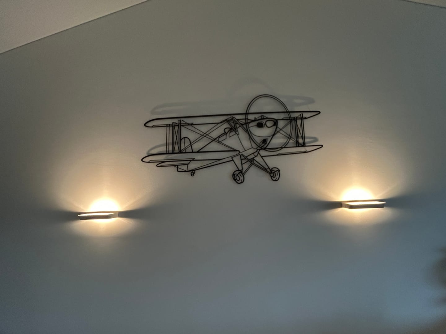 Customer photo review of Your Custom Aircraft Silhouette Metal Wall Art