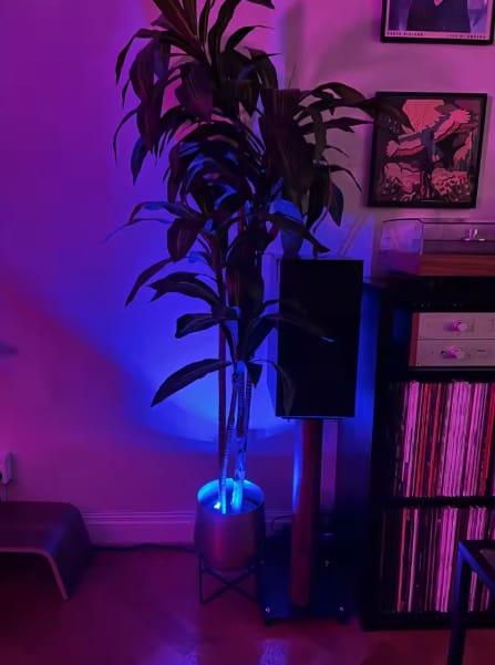 Customer photo review of Kit iluminación led RGB