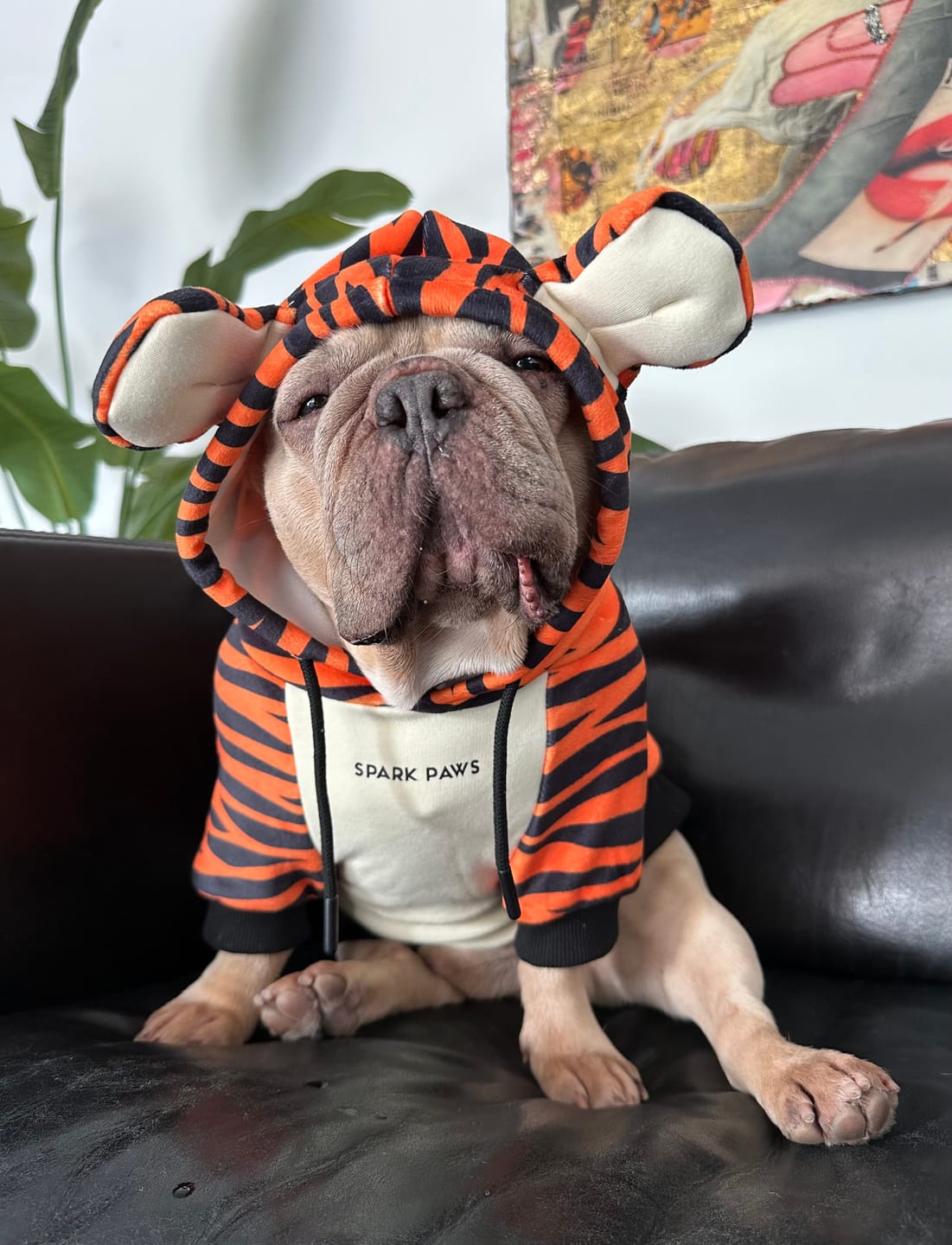 Customer photo review of Halloween Dog Hoodie - Tiger