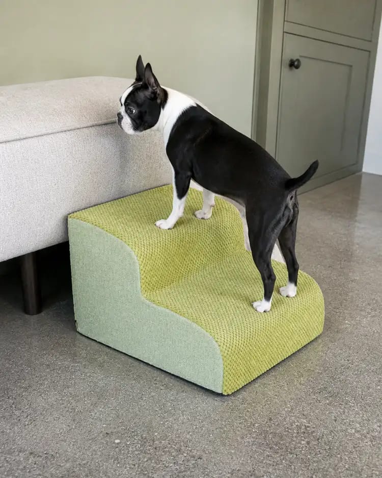 Customer photo review of Orthopedic Dog Stairs for Joint Relief
