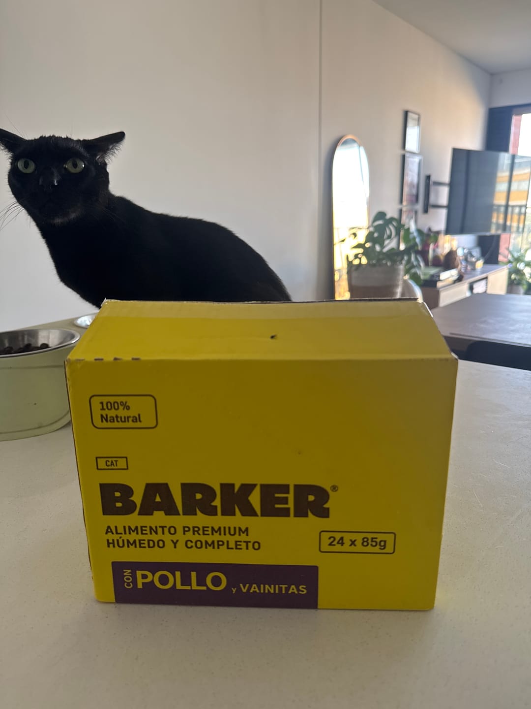 Customer photo review of Latas cat (24-Pack)  Pollo y Vainitas