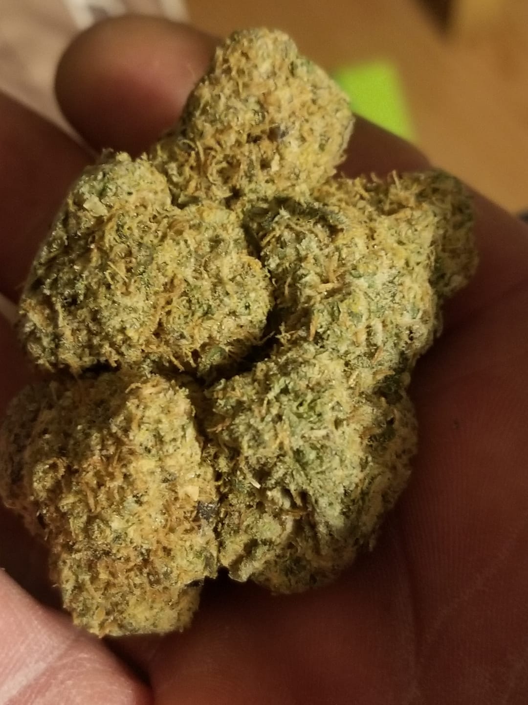 Customer photo review of Runtz THCA Flower (Budget)