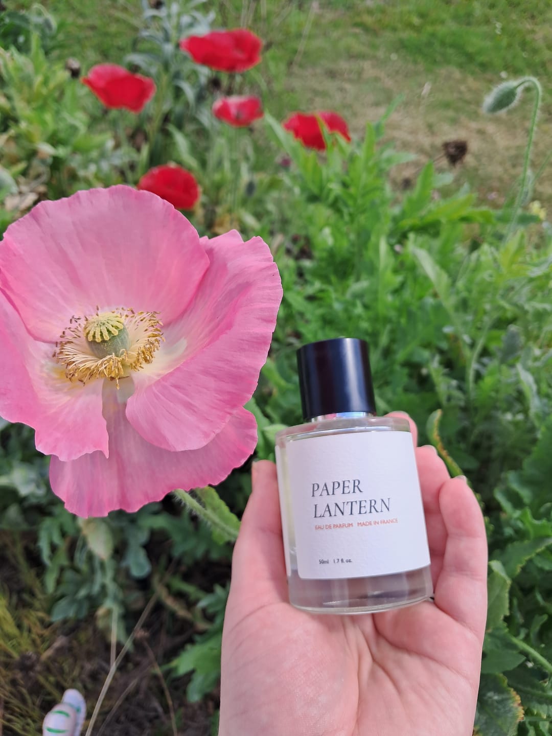 Customer photo review of Paper Lantern