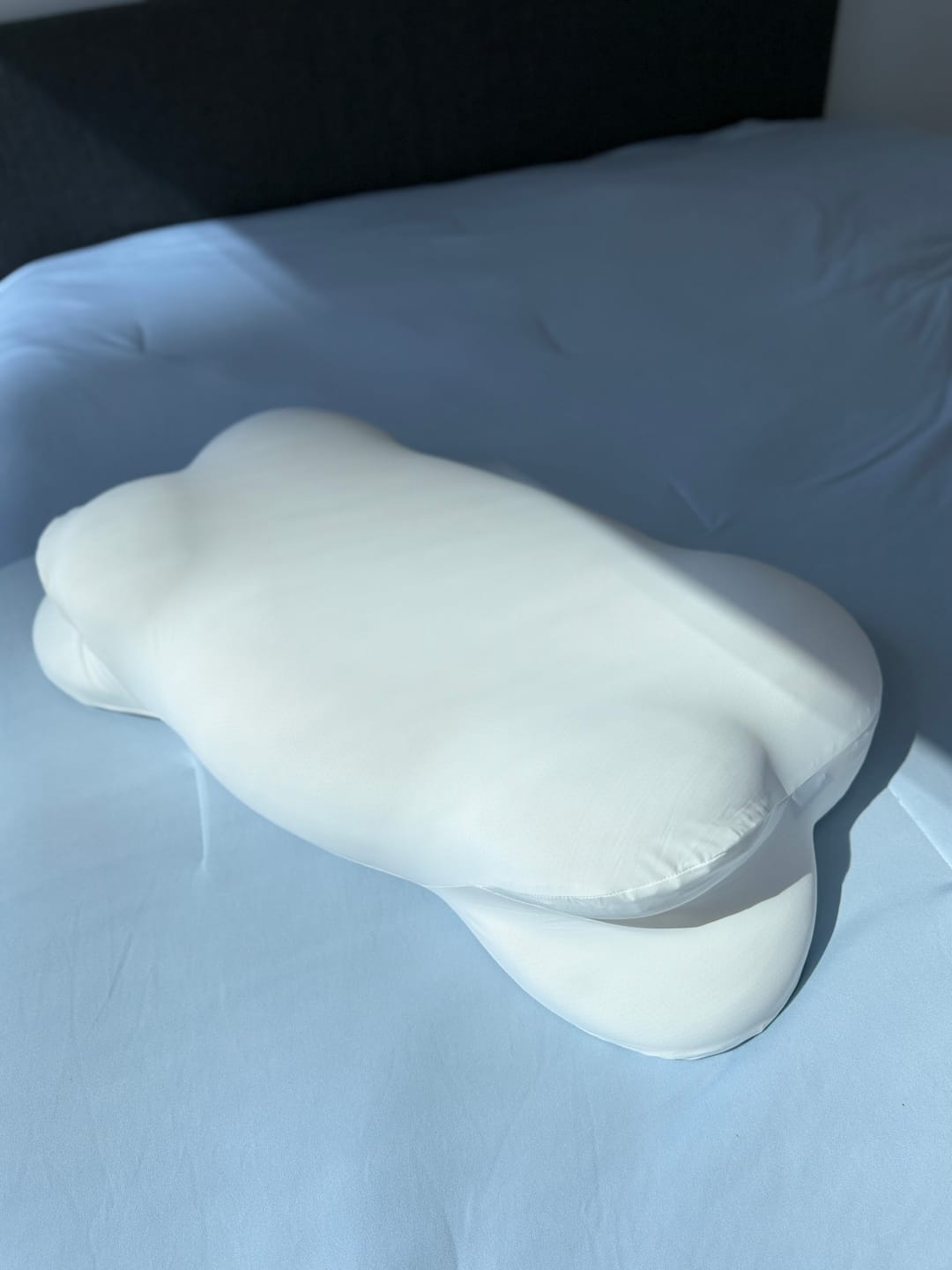 Customer photo review of CloudAlign™ Pillow