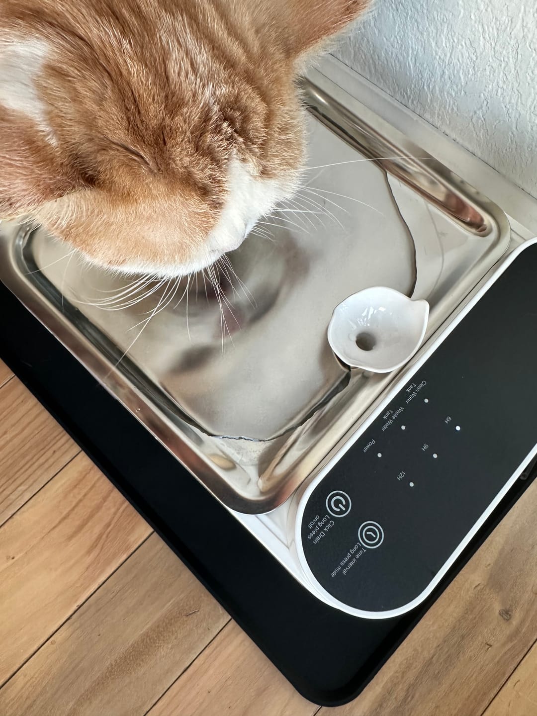 Customer photo review of Purestream AquaOne - Automatic Cat Fountain