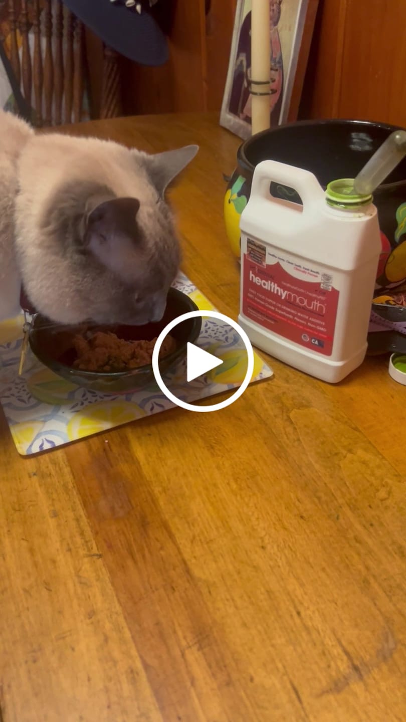 Customer video review of HealthyMouth® Water Additive for Cats (Clinically Proven, VOHC Accepted)