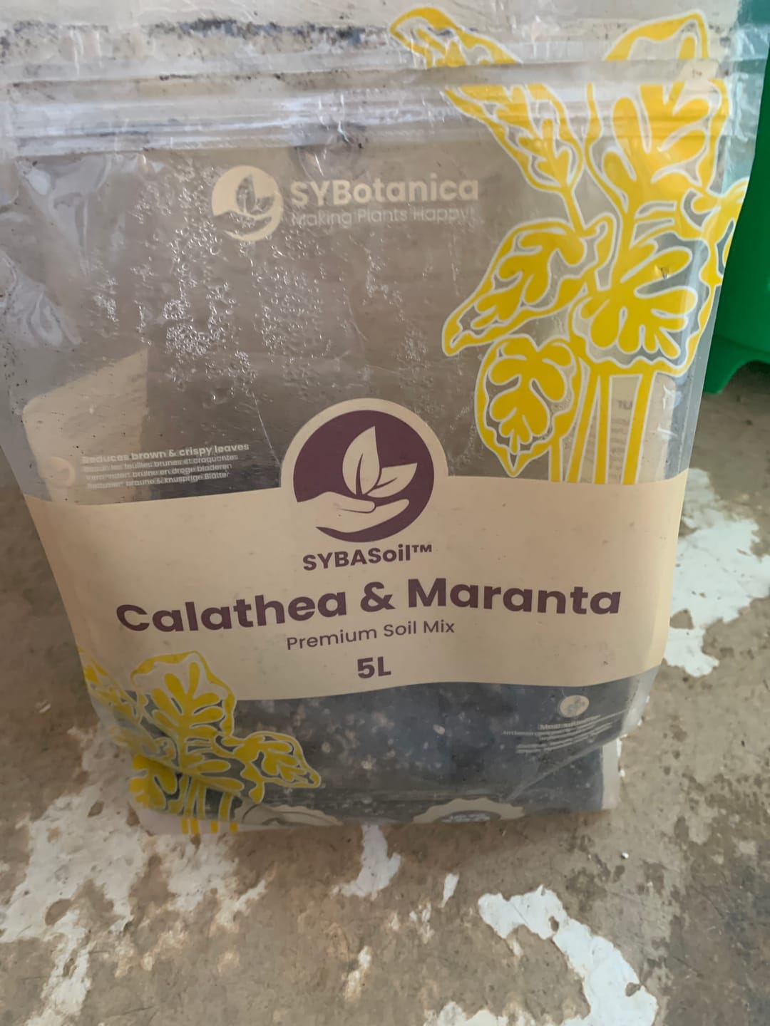 Customer photo review of Clear Self-Watering Plant Pots