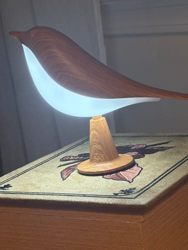Customer's Glow Bird lamp in a wood-like finish with a soft glowing light, sitting on an illustrated box.