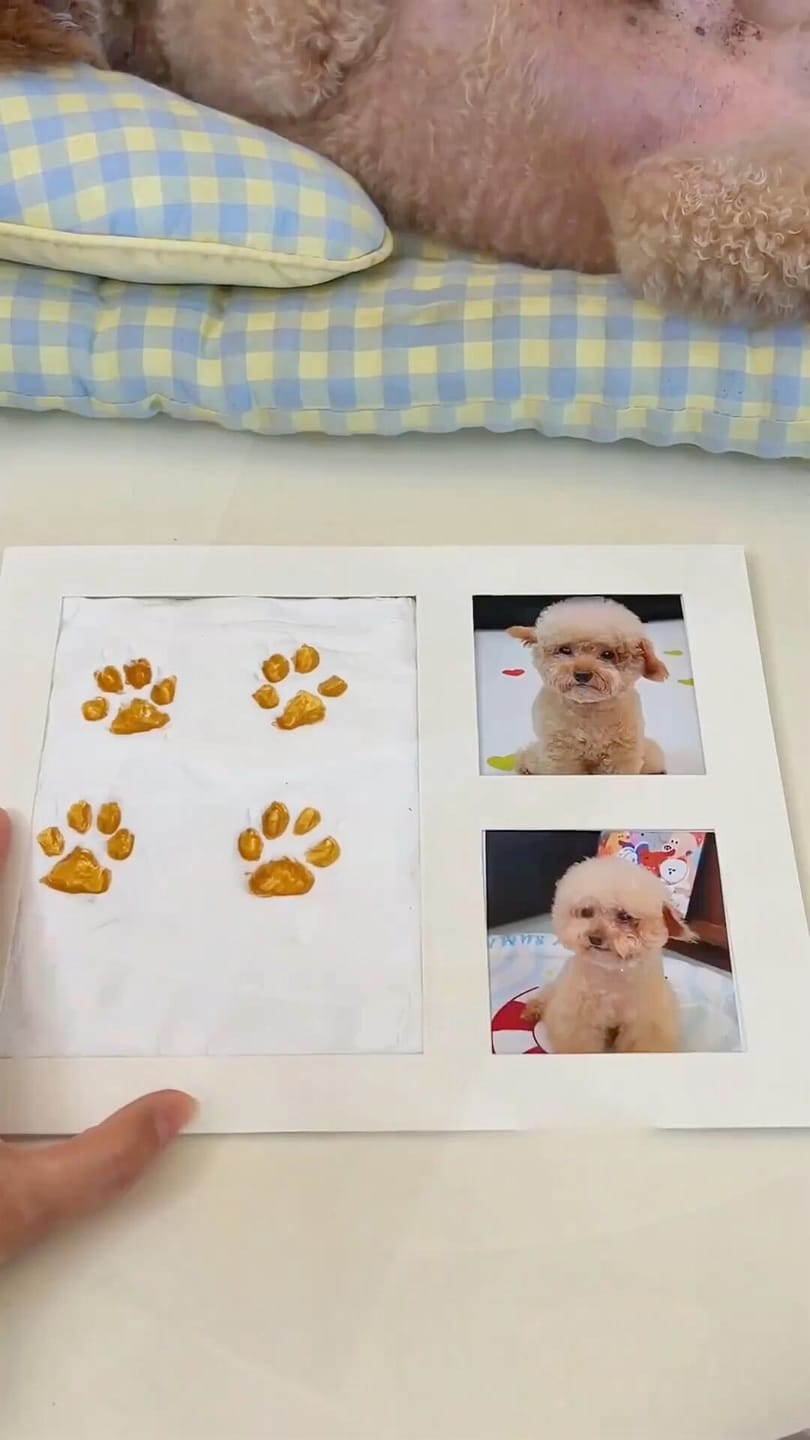 Customer photo review of Pawtique ForeverPaw™ Keepsake Kit