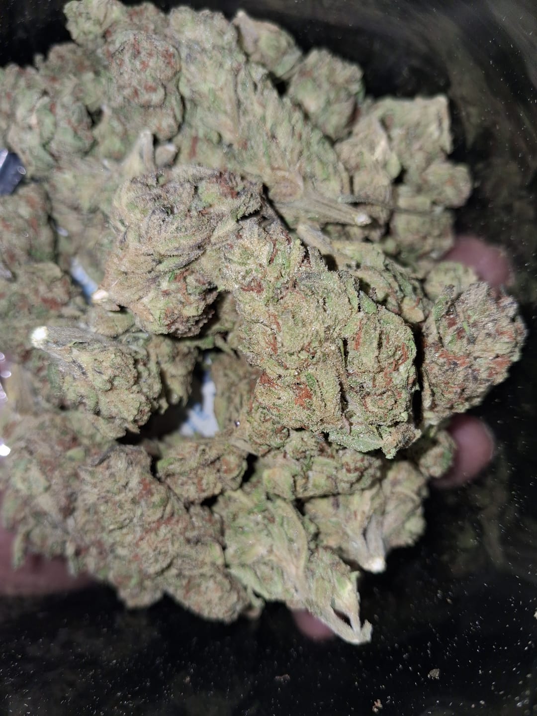 Customer photo review of Black Ice THCA Flower Ounce (28g)