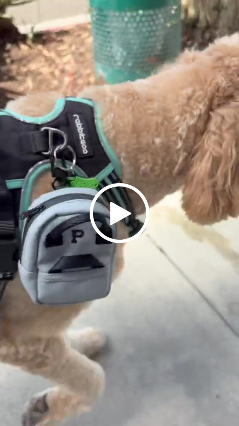 Customer video review of Cascade Bag Charm