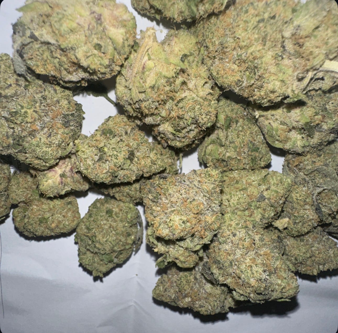 Customer photo review of Biscotti THCA Flower (Premium)