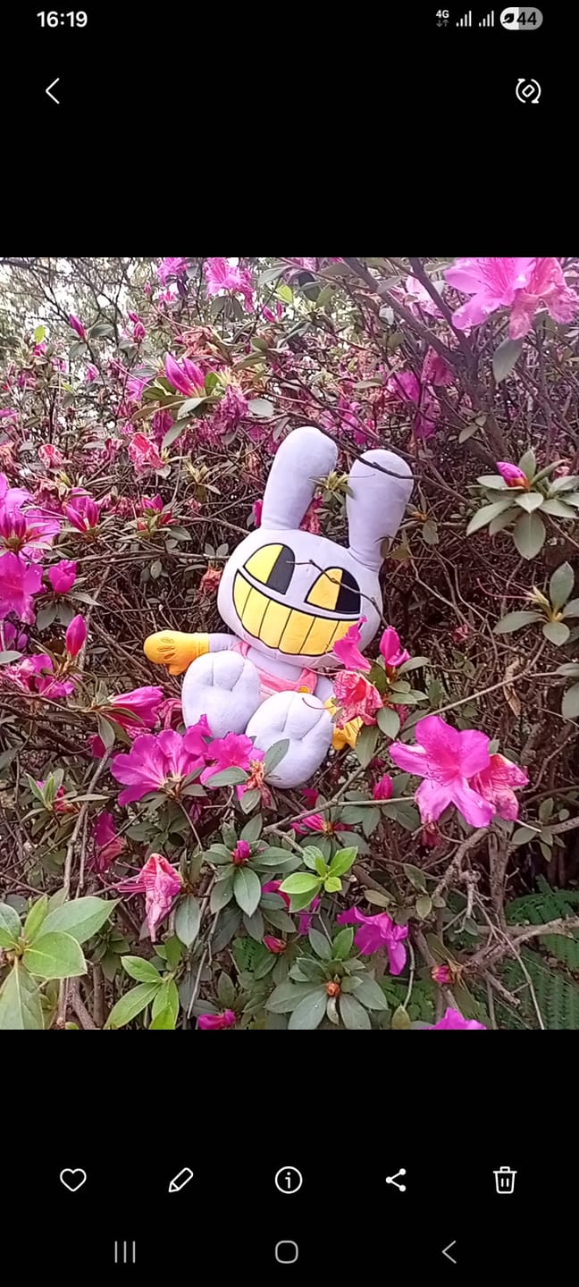 Customer photo review of Jax Plush