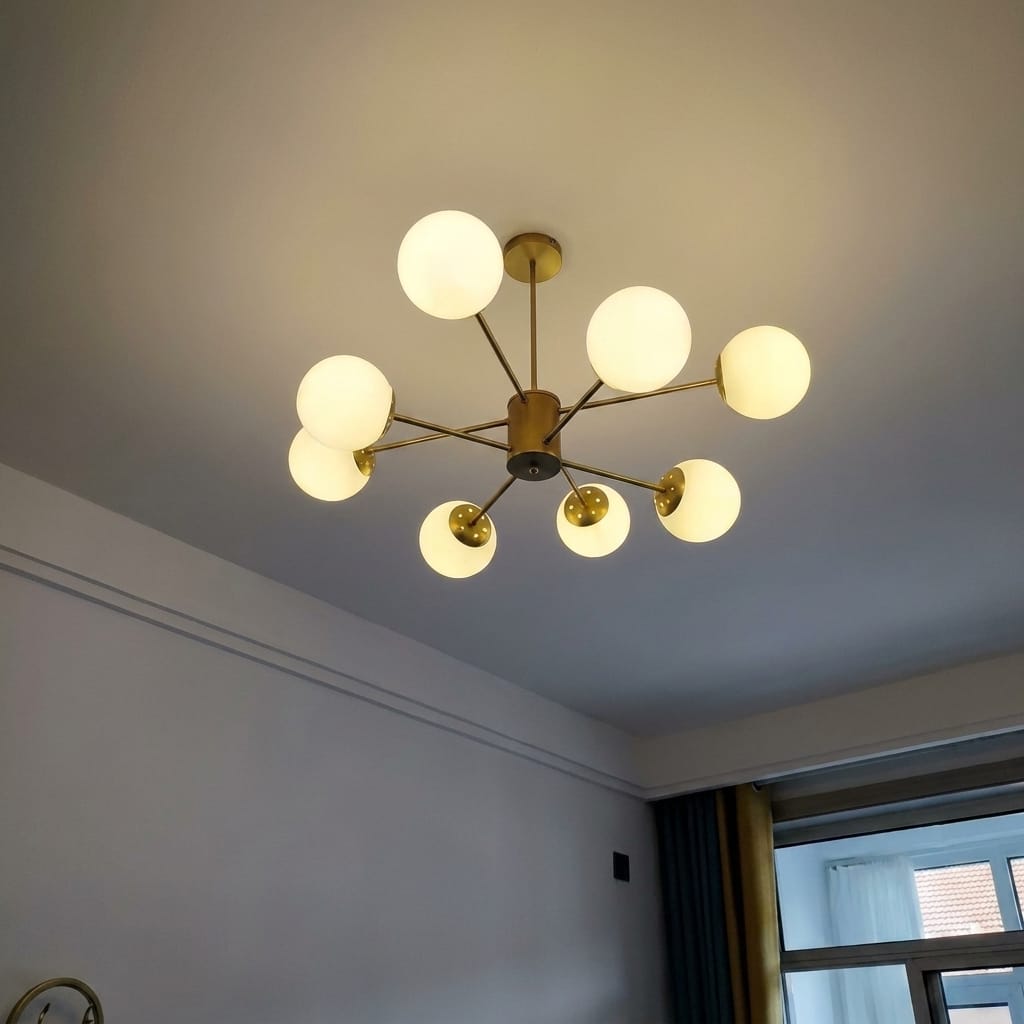 Customer photo review of ATOM