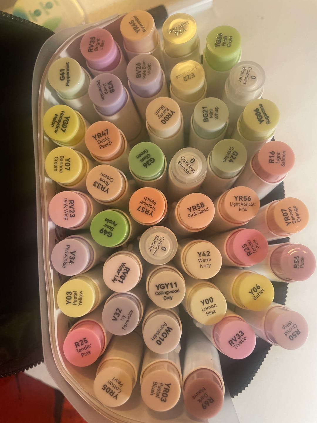 Customer photo review of Ohuhu Honolulu New 48 Pastel Colors Dual Tips Alcohol Art Markers - Blossoming (New Color Codes)
