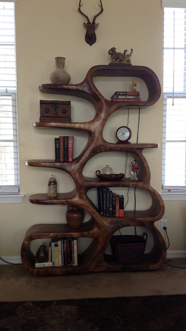 Customer photo review of Avelune Cascade Sculptural Solid Wood Display Bookshelf