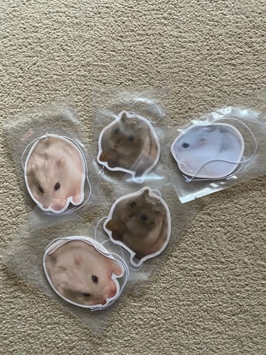 Customer photo review of Personalized Custom Shape Car Air Freshener With Your Photo