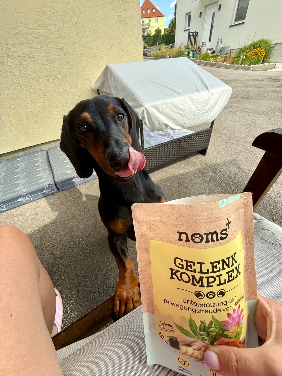 Customer photo review of Gelenk-Komplex für Hunde