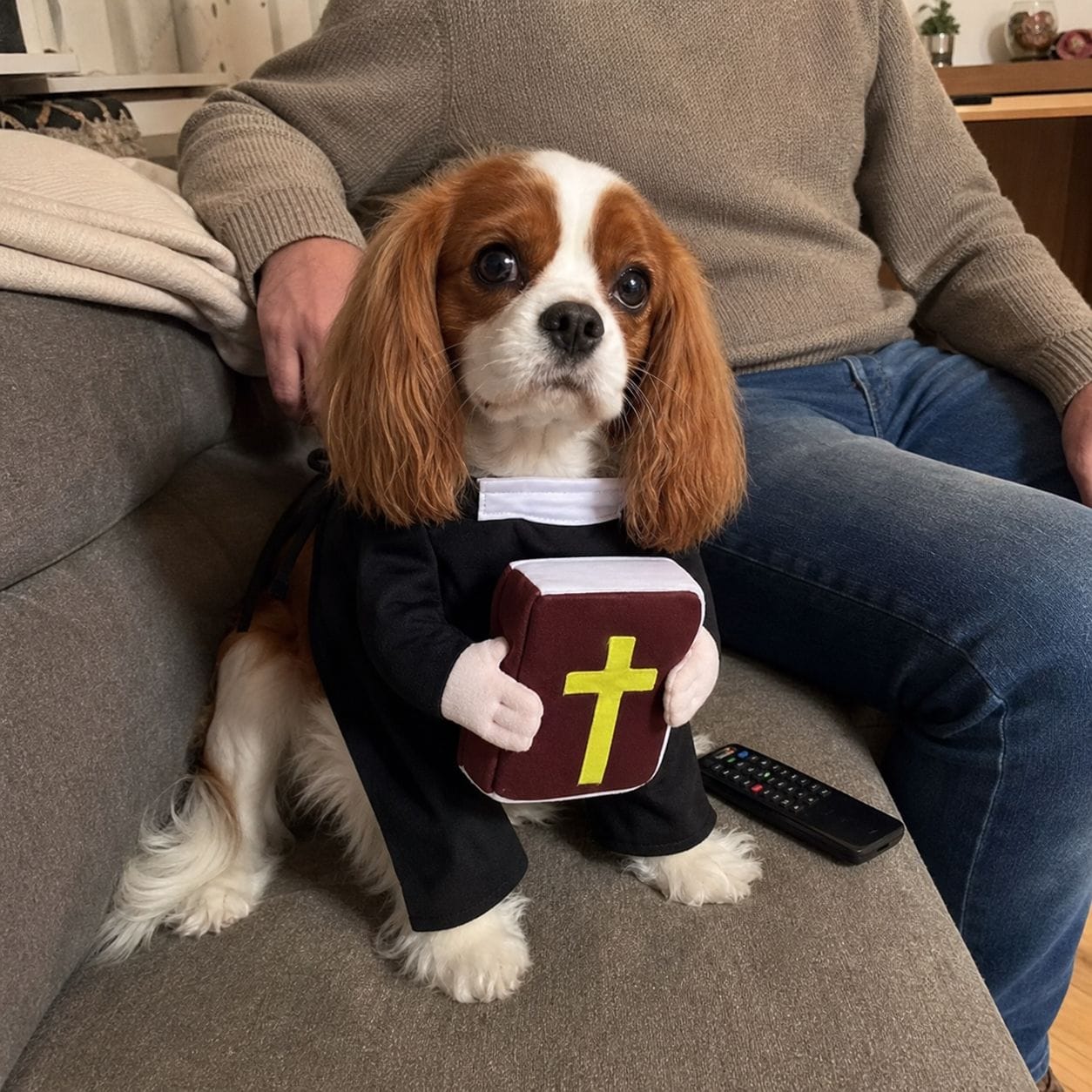 Customer photo review of Blessed Pup Costume