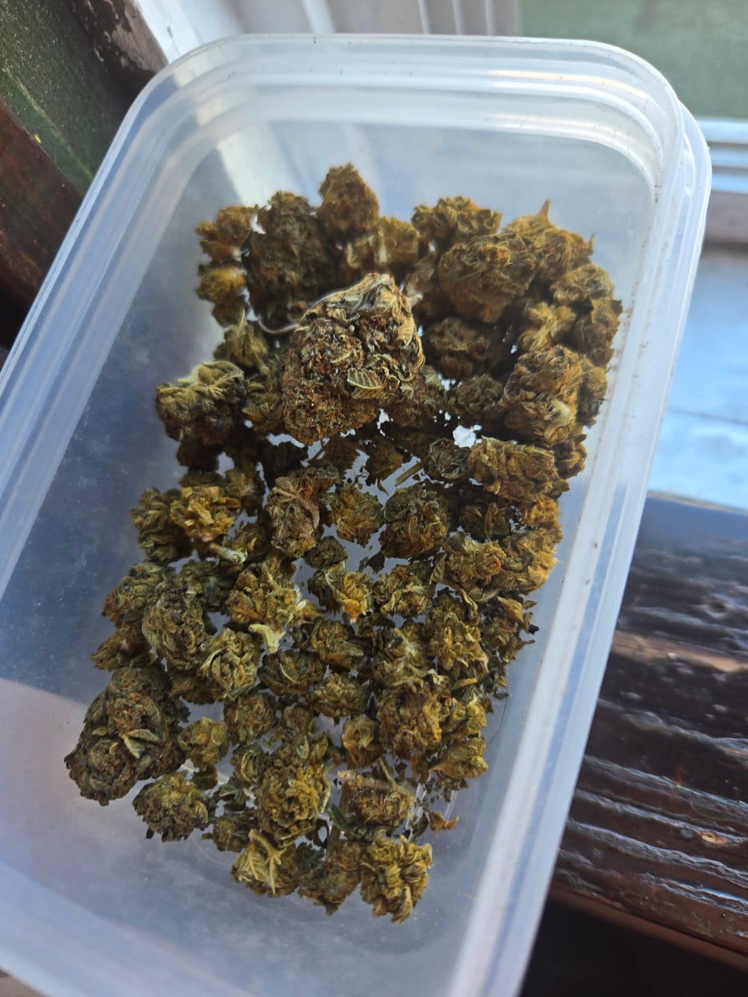 Customer photo review of Cheap THCA Smalls Ounce