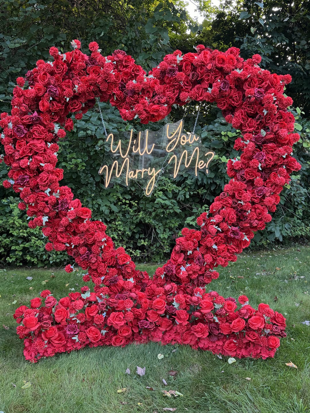 Customer photo review of AliFlowers 5D Red Rose Heart Arch for Proposal & Wedding Backdrop ALFAH004