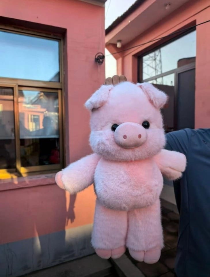 Customer photo review of Running Pig Plush Toy